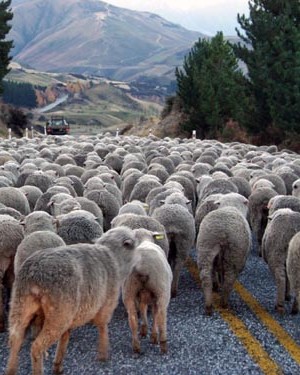 Warum hört man eigentlich … nichts v. Fahrradfahrern?