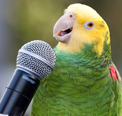 (Foto: Nathan Rupert)