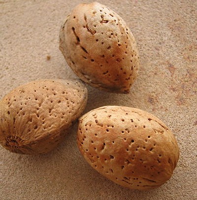 Life in Erfurt is not so hard after all!