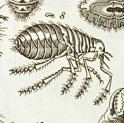 Kleiner, krabbeliger Amor