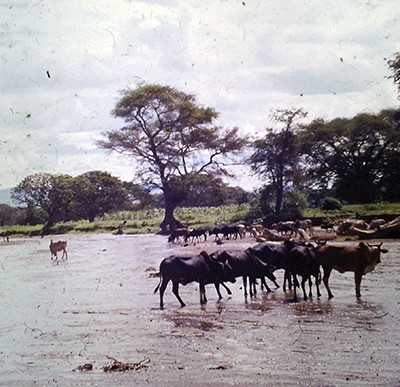 Ein Blick zurück, ein Blick in die Ferne