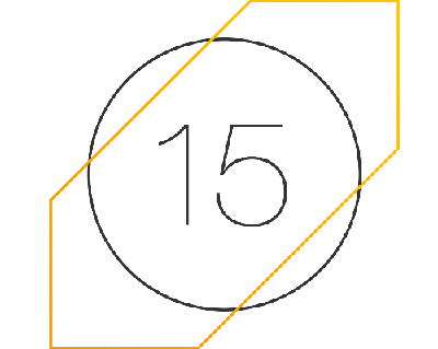 Mitten in der Pubertät: 15 Jahre cellu l’art