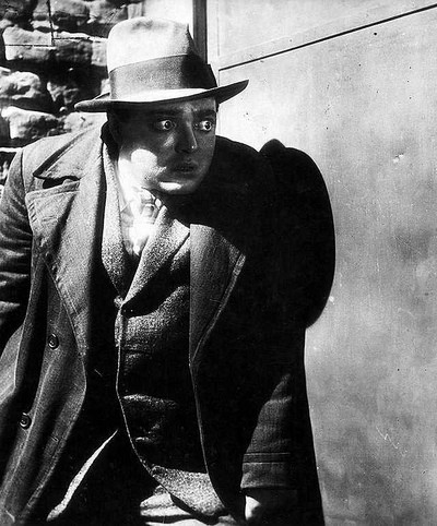 Von Wien über Berlin nach Hollywood