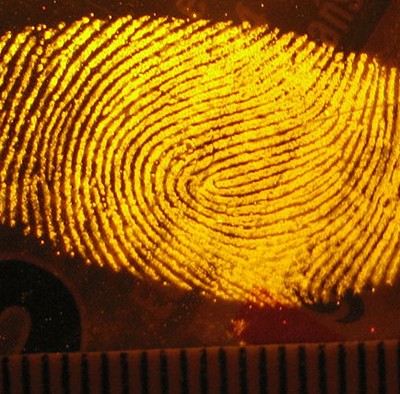 Wahrheitsmaschinen gegen das Asylrecht