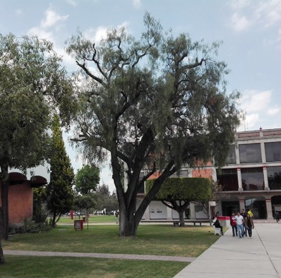 Auf dem Campus der UDLAP (Foto: Anne Jüngling)