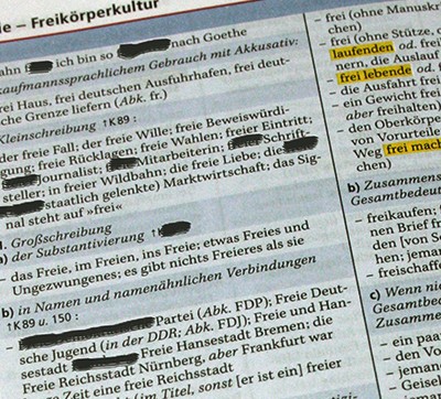 Kolumne: Manipulierte Sprache, sprachliche Manipulation