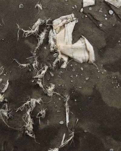 Zeugnisse menschengemachten Verlusts