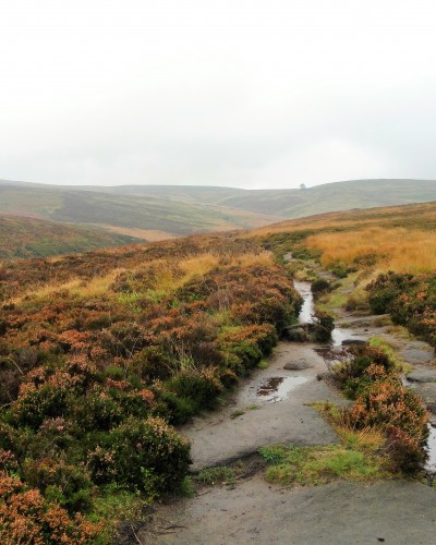 Die ungezähmte Natur im Menschen