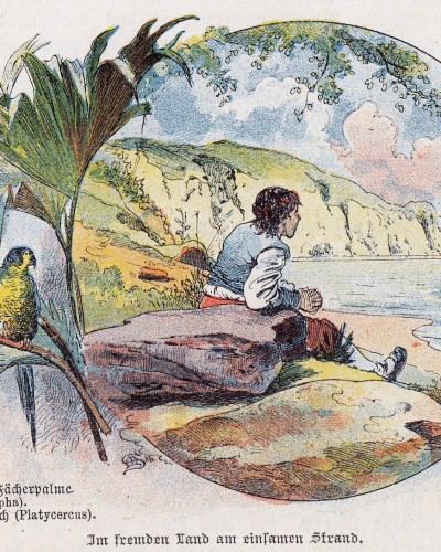 Von einem Abenteuerroman zur Robinsonade