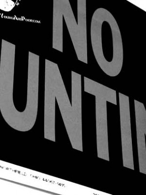 Die andere Meinung: Der goldene Schuss