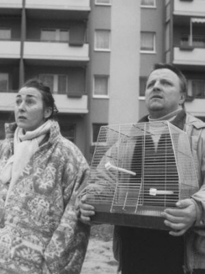 Cinematique: Andreas Dresen – „Halbe Treppe“