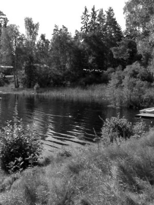Mein schönster … Campingplatz der Welt: „Lovsjöbadens Camping“ in Schweden